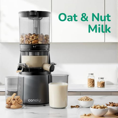 Canoly 3-in-1 Cold Press Juicer C16, Makes Juice & Sorbet & Nut Milk - color: Space Gray