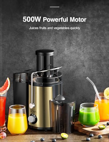 Juicer Machine 800W Centrifugal Juicer with Wide Mouth Feed Chute - color: Gold, size: 800W