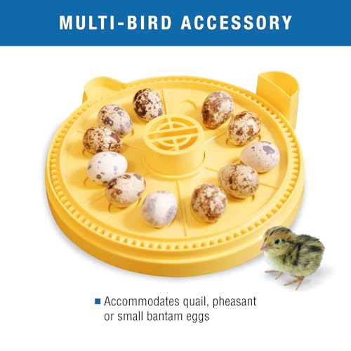Brinsea Egg Quadrant Insert for Mini Advance Incubators Fits 12 Eggs, Small - size: Fits 12 Eggs, style: Mini Advance
