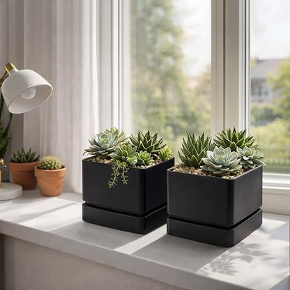 D'vine Dev 2-Pack Plastic Herb Planter Pots, 6 in, Black, 76-Y-B2-2 - color: Black, size: 12 Inch x 6.5 Inch