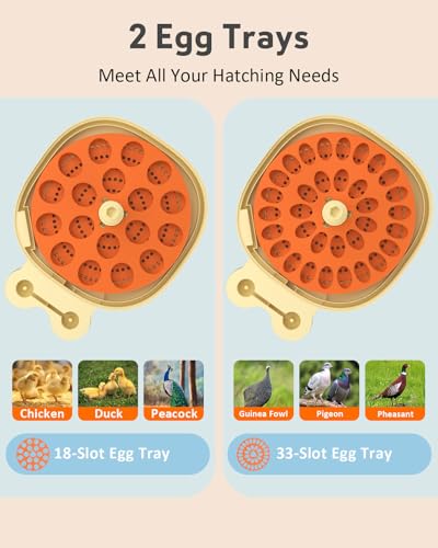 18 Egg Incubator for Hatching Eggs with Automatic Turning, Digital Temperature & Humidity Control, Built-in Egg Candler & Auto Water Refill, 360° Clear View for Chicken, Beige+Orange