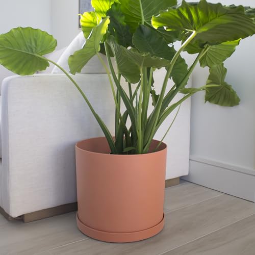 Bloem Mathers 12" Modern Plastic Planter, Muted Terra Cotta, 2-Pack - color: Muted Terra Cotta, size: 12" (Pack of 2)