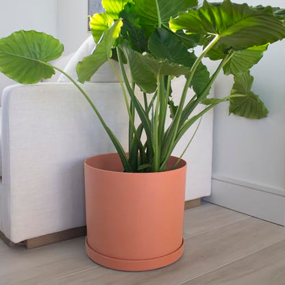Bloem Mathers 12" Modern Plastic Planter, Muted Terra Cotta, 2-Pack - color: Muted Terra Cotta, size: 12" (Pack of 2)