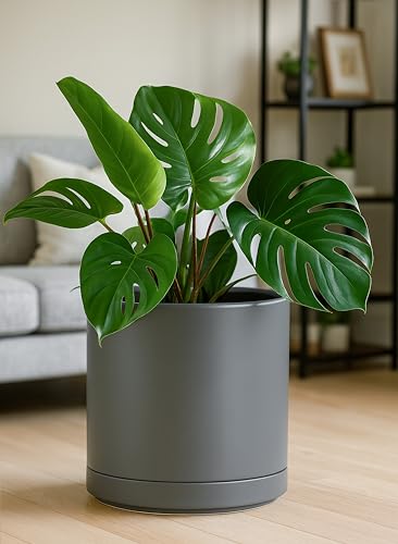 D'vine Dev 12 Inch Ceramic Planter Pot, Grey, 94-O-F-3 - color: Gray, size: X-Large