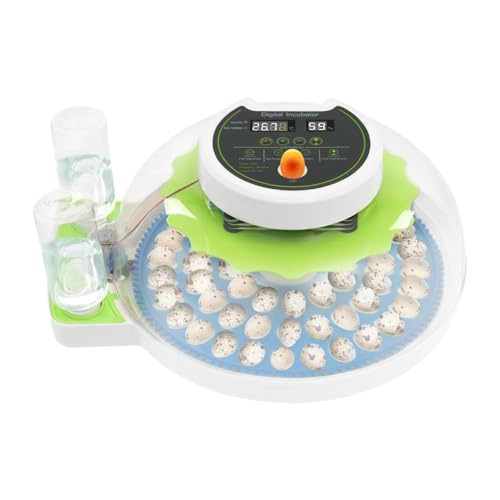 60 Quail Chicken Egg Incubator for Hatching Eggs, Small Poultry Incubators - size: 60 Unites