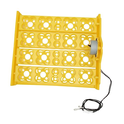 Automatic Egg Turner Tray - Multifunction Incubator Tray for 16 Duck Eggs, 72 Quail Eggs (DC12V) - size: DC12V