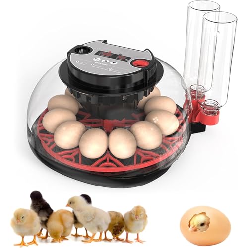 Incubators for Hatching Eggs Automatic Egg Incubator with Temperature Control Humidity Display 12 Egg Capacity for Chicken Duck Goose Eggs Digital Display Auto Turner 360° View - size: 24-quail eggs