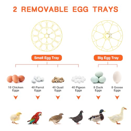 18 Egg Incubator, Incubator for Hatching Eggs, Automatic Egg Turning and Humidity Temperature Control, Egg Candler, Hatch Day, Automatic Water Refill, for Chicken, Ducks, Quail, Goose, Pigeon