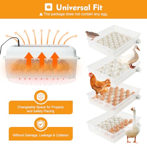Egg Incubator 64 Eggs, Single Layer Digital Hatcher, Poultry Hatching Machine, 3-in-1 Hatching, Brooding & Incubating, Temperature Control, for Chicken Quail Duck Goose Pigeon - size: 64 Eggs