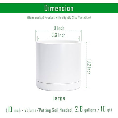 D'vine Dev 10 Inch Ceramic Planter Pot, White, 94-O-E-1 - color: White, size: Large