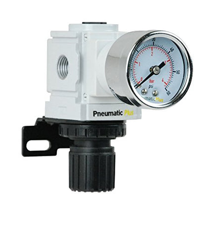 PneumaticPlus PPR2-N02BG-4 Low Pressure Air Regulator, 0-60 PSI, 1/4" NPT - size: 1/4" NPT (3-60 PSI)