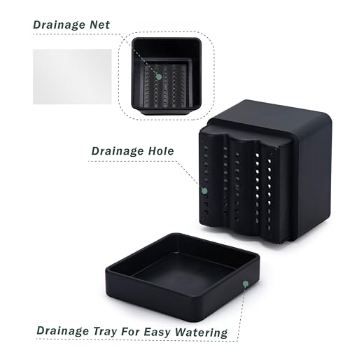 D'vine Dev Plastic Herb Planter Pot, 6 in, Black, 76-Y-B1-2 - color: Black, size: 6 Inch x 6.5 Inch