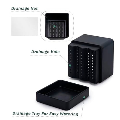 D'vine Dev Plastic Herb Planter Pot, 6 in, Black, 76-Y-B1-2 - color: Black, size: 6 Inch x 6.5 Inch