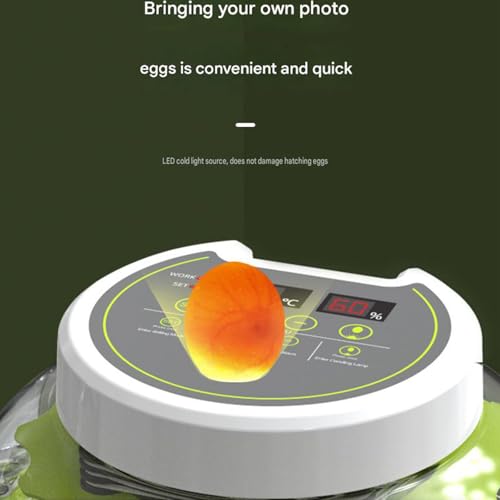 JUJOJB 12-Egg Incubator for Hatching Eggs, Auto Turner, Temp Control - color: Green