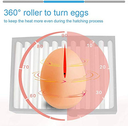 Egg Incubator,Egg Incubator with Automatic Egg Turning and Humidity Control,Poultry Hatcher for Chickens Ducks Birds (56 Eggs) - size: 56 Eggs