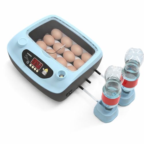 Automatic 12 Egg Incubator with US Plug, PP Material Digital Temperature Control, High Hatch Rate Egg Hatcher for Chicken, Duck and Quail Eggs