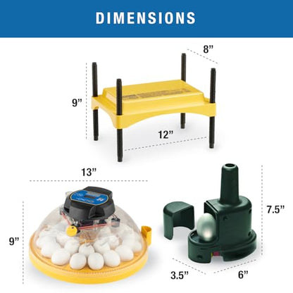 Brinsea Maxi 24 Advance Complete Classroom Egg Hatching Incubation Kit - size: Classroom Kit, 24 Eggs