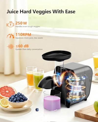 Cold Press Masticating Juicer 250W Slow Extractor for Whole Celery & Carort - color: Sliver