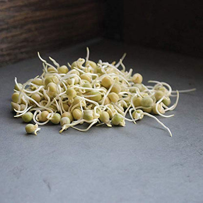 Handy Pantry Green Pea Sprouting Seed - 2.5 Lb - Green Pea for Sprouts - size: 2.5 pounds