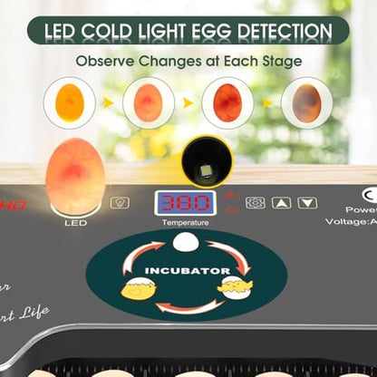 12 Egg Incubator - Automatic Egg Turner, Temperature Control, Built-in Candler, Auto Water Refill for Hatching Chicken, Duck, Quail & Bird Eggs - size: 12-EGGS