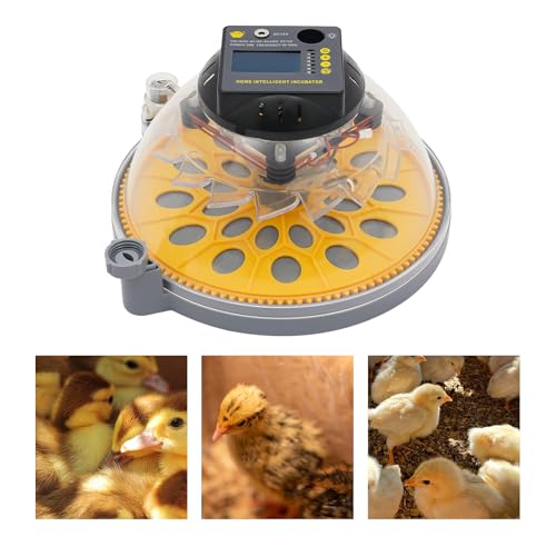 Chicken Egg Incubator 12 Eggs, Automatic Digital Hatcher, Poultry Hatching Machine, 5 Preset Modes, Auto Turner, Temperature & Humidity Control, for Chicken, Duck, Goose, Bird - size: 12 Eggs