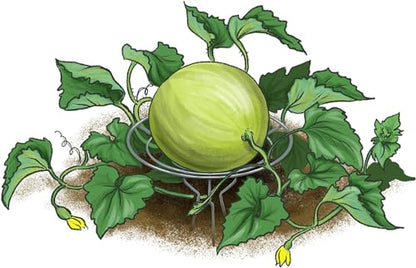 Park Seed Galvanized Steel Melon Cradle for Growing Your Own Fruits and Vegetables (5 Pack)