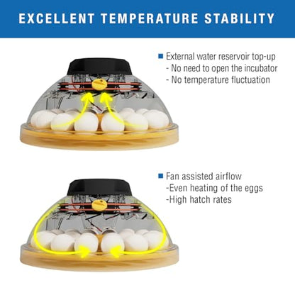 Brinsea Maxi 24 Advance Incubator with auto Turner for Hatching 24 Eggs - size: 24 Eggs