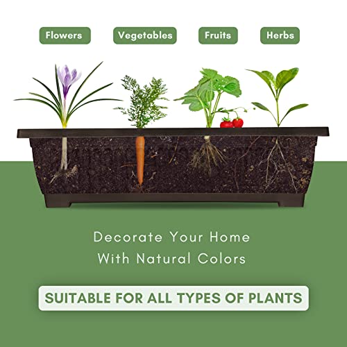 TOREVSIOR 5-Tier Vertical Raised Garden Bed, Elevated Herb Planter Box