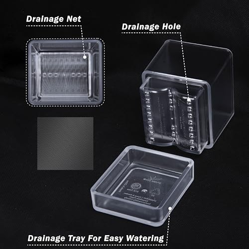 D'vine Dev Acrylic Herb Planter Pot, 4 in, Clear, 76-Y-D-1 - color: Clear, size: 4 Inch x 4.5 Inch