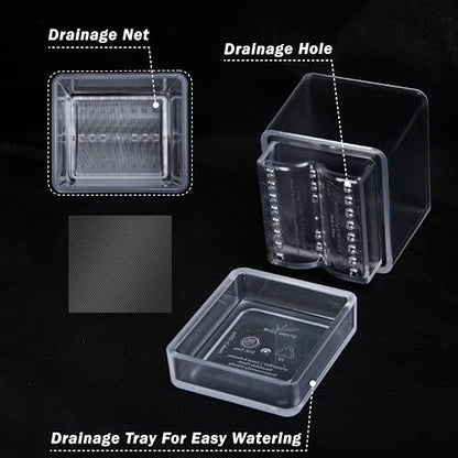 D'vine Dev 2-Pack Acrylic Herb Planter Pots, 4 in, Clear, 76-Y-D-1 - color: Clear, size: 8 Inch x 4.5 Inch