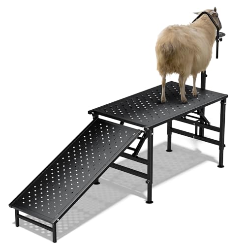 Goat Milking Stand with Ramp, Livestock Trimming Goat Stand with Adjustable Headpiece & Legs, and Feed Bin, 600LBS Heavy Duty Sheep Stand for Lambs Shearing, Grooming & Hoof Trimming, Black