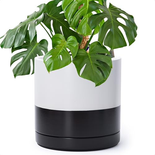 D'vine Dev 10 Inch Ceramic Planter Pot, Black White Two Tone, 94-O-E-L - color: Layered Monochrome Black & White, size: Large