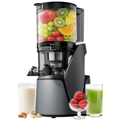 EanOruus Juicer Machines, 3-in-1 Cold Press Juicer, Premium Gray - color: Premium Gray