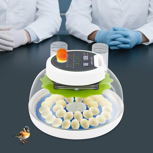 Bird Egg Incubator 33 Eggs, Poultry Quail Incubator, Automatic Temperature Control with Digital LED Display, Small Quail Brooder, for Parrot, Canary, Small Poultry & Bird Hatching - size: 33 Bird Eggs