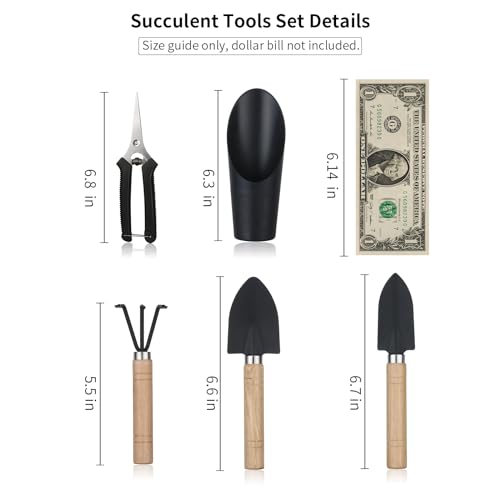 5 Pcs Succulent Tools, Mini Garden Tools, Small Indoor Plant Repotting Set - style: Luxury Garden Tools