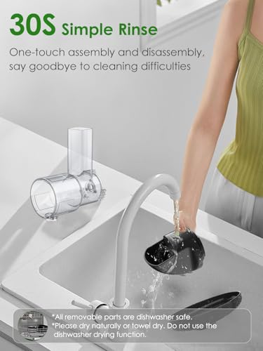 Masticating Juicer Machine 200W Slow Cold Press Extractor for Veggie/Fruit - color: Grey