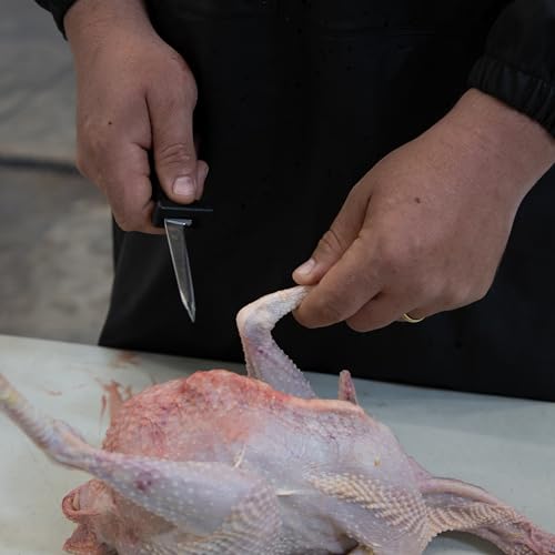 Yardbird Poultry Processing Knife, 3.5" High-Carbon Stainless Steel Blade, Dual Cutting-Edge Tip, Slip-Resistant Handle, Model: 47185 - style: POULTRY PROCESSING KNIFE