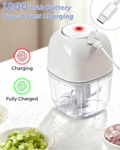 Joyzan Electric Garlic Chopper, Mini Food Processor Veggie Grinder 350ML
