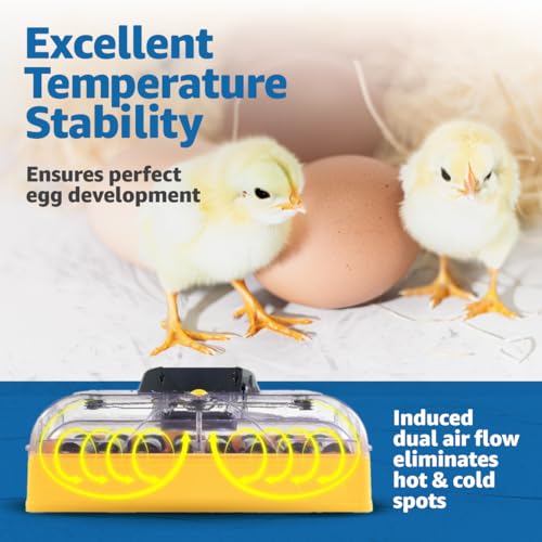 Brinsea Ovation 28 EX Egg Incubator, Automatic Turning & Humidity Control - style: Without Book