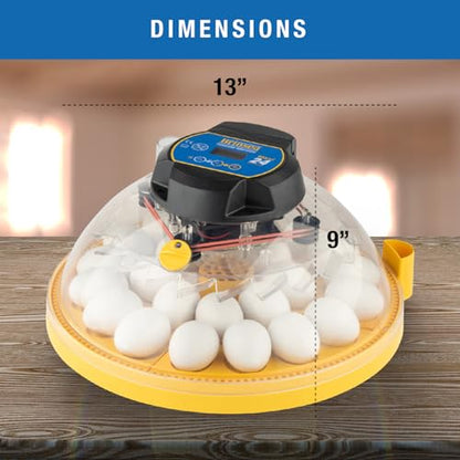 Brinsea Maxi 24 Advance Incubator with auto Turner for Hatching 24 Eggs - size: 24 Eggs