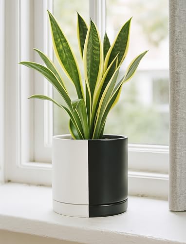 D'vine Dev 8.2 Inch Ceramic Planter Pot, Black White Split, 94-O-D-0 - color: Split Monochrome Black & White, size: Medium