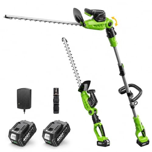 TaskStar 2-in-1 Pole Hedge Trimmer: 20 Inch Dual Action Blade 20V Powered