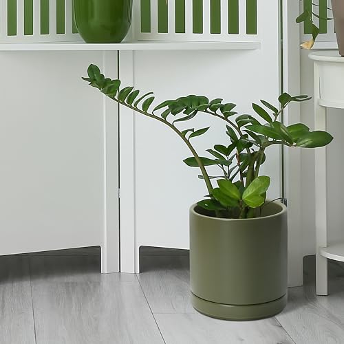 D'vine Dev 8.2 Inch Ceramic Planter Pot, Olive, 94-O-D-J - color: Olive, size: Medium
