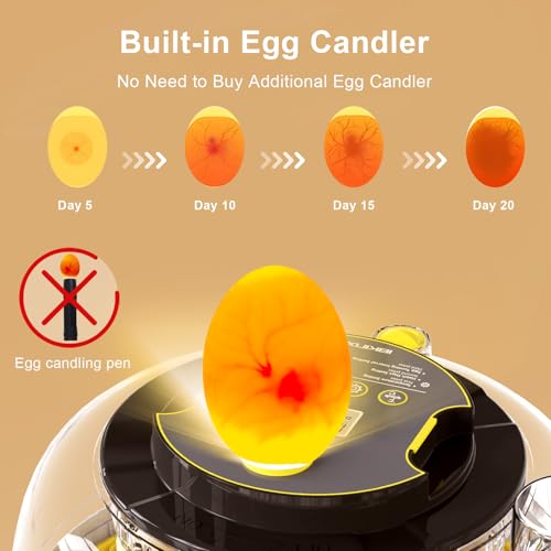 IBKINXX Incubator for Hatching Eggs-18 Egg Capacity, Newly Upgraded Automatic Egg Turner, Temperature & Humidity Control, 360° Viewing for Chicken, Duck and Quail Eggs (Black)