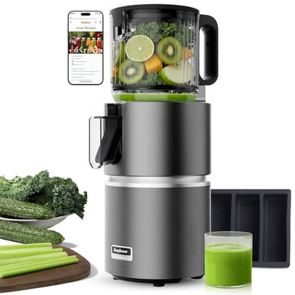 Anybear 350W Cold Press Juicer, Makes Juice & Sorbet & Nut Milk + Recipe