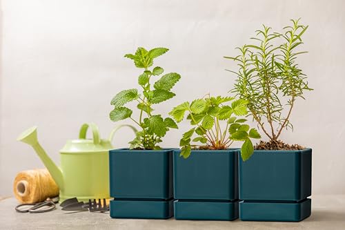 D'vine Dev 3-Pack Plastic Herb Planter Pots, 4 in, Green, 76-Y-C-1 - color: Green, size: 12 Inch x 4.5 Inch