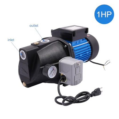 Deep Well Jet Pump, Cast Iron Convertible Pump with Ejector Kit, Well Depth Up 0-25ft, Automatic Pressure Switch (1HP) - size: 0.75HP
