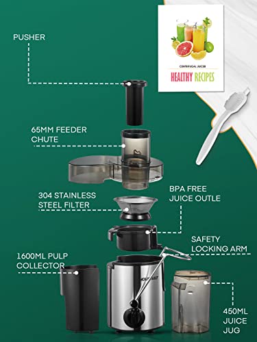 HOUSNAT Juicer Machines for Whole Fruit and Vegetables, 3 Speed Setting - color: Silver