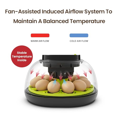 Incubators for Hatching Eggs 12 Egg Incubator with Automatic Egg Turning and Humidity Control,Egg Candler,Auto Water Replenishment,for Chicken Eggs and Quail Egg M12H