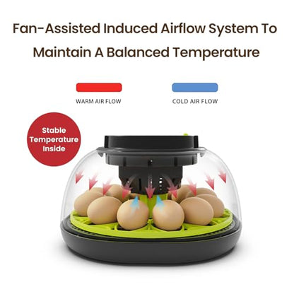Incubators for Hatching Eggs 12 Egg Incubator with Automatic Egg Turning and Humidity Control,Egg Candler,Auto Water Replenishment,for Chicken Eggs and Quail Egg M12H
